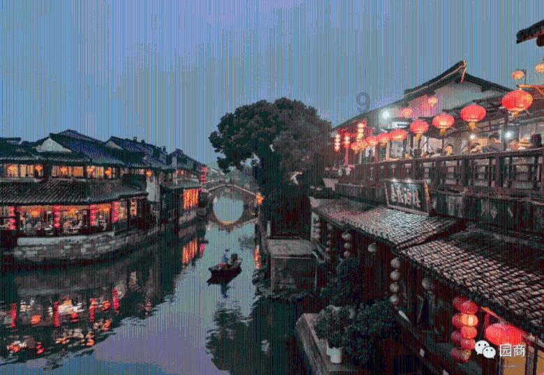 救援小犬立苏